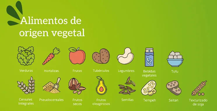 alimentos de orige vegetal